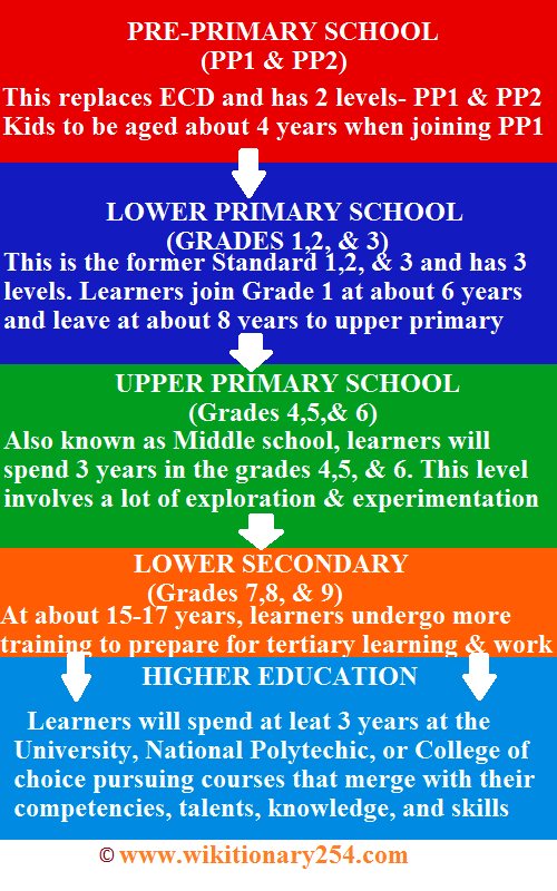 Competency Based Curriculum Pdf