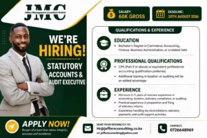 Statutory Accounts & Audit Executive