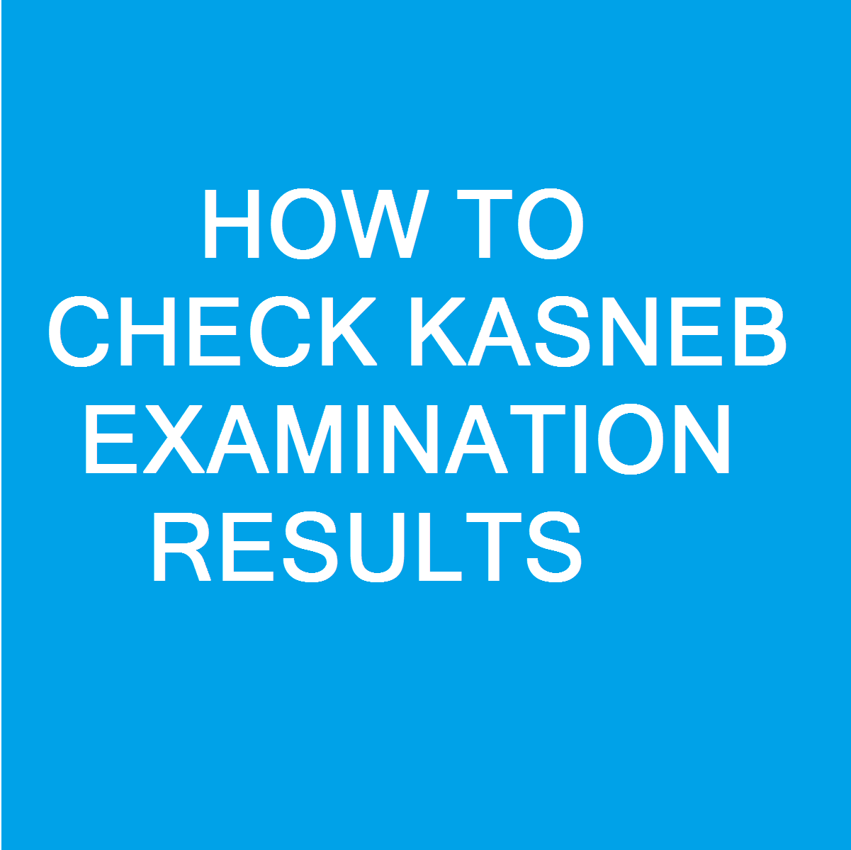 KASNEB Examination Results