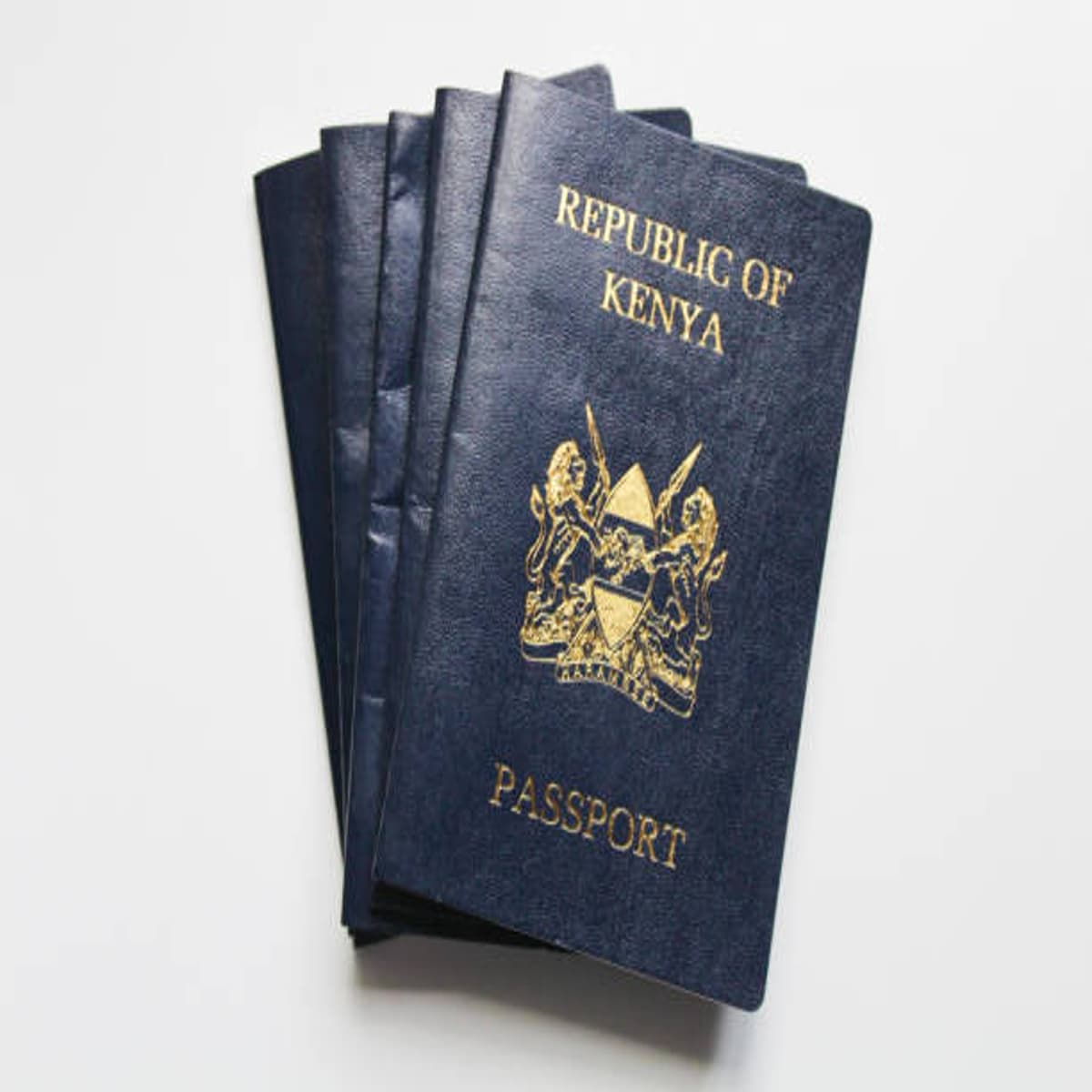 How much is Passport Application in Kenya?