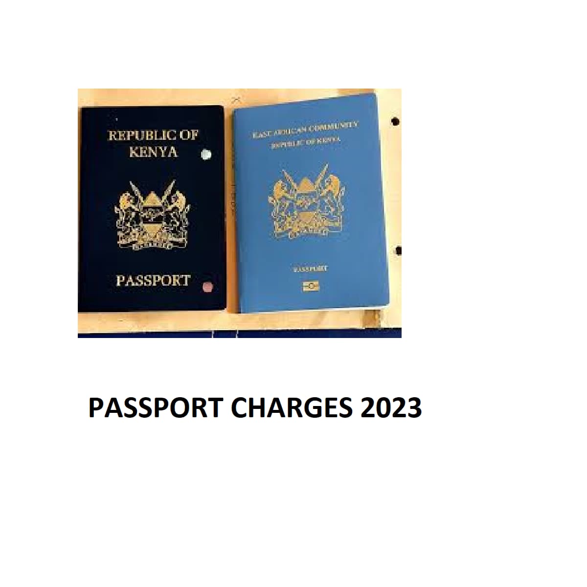 Passport Charges in Kenya