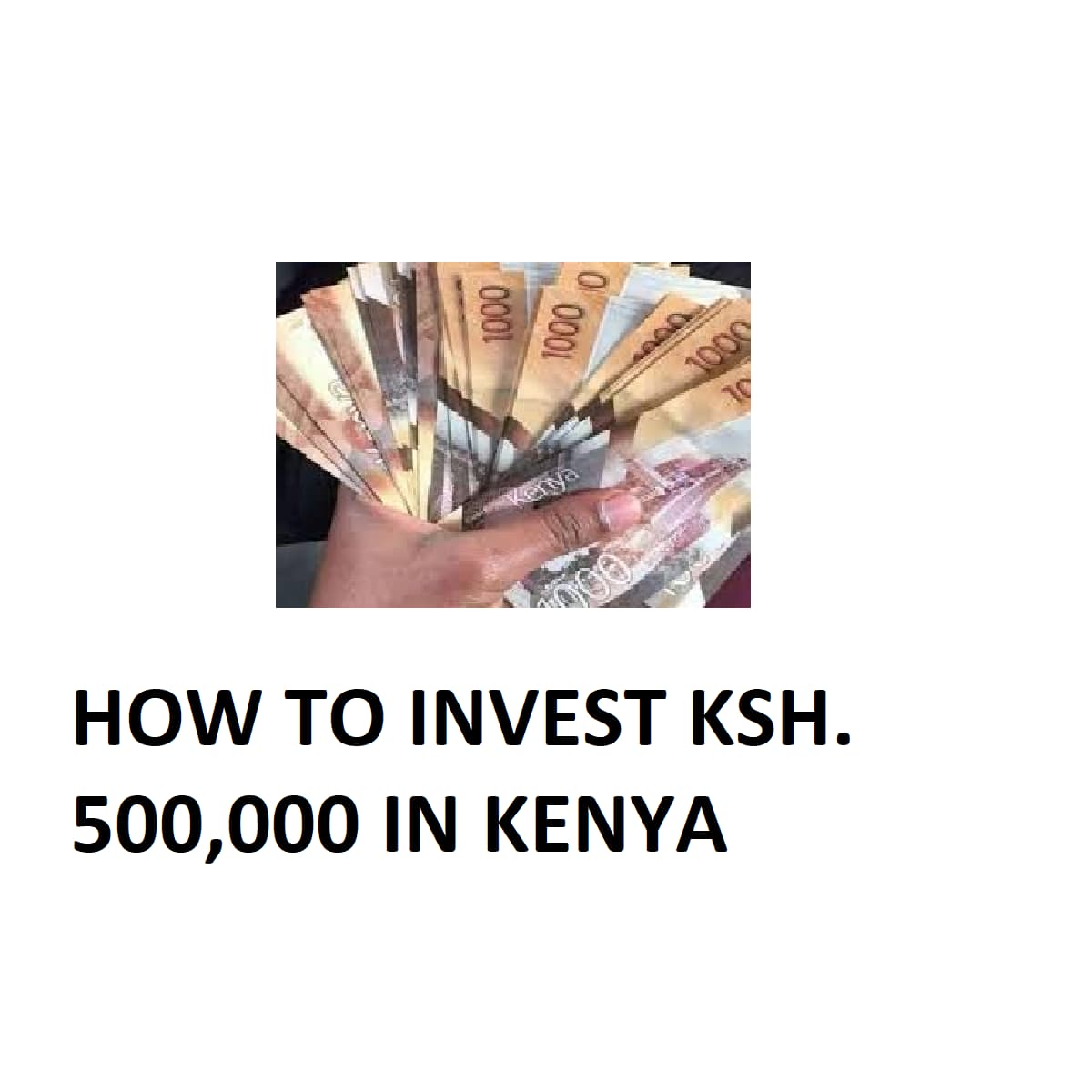 How to Invest Kshs. 500,000 in Kenya