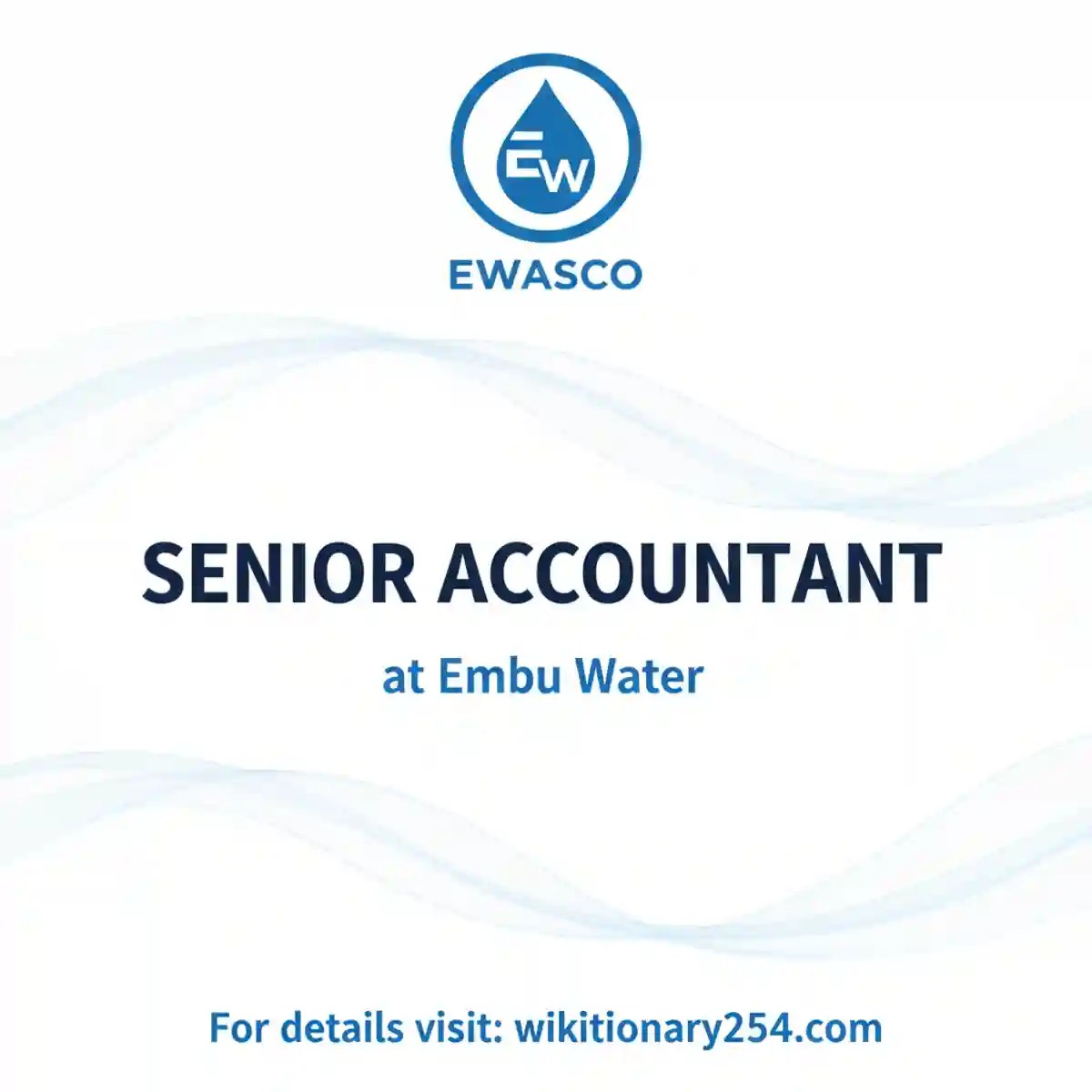 Accountant Job at Embu Water and Sanitation Company