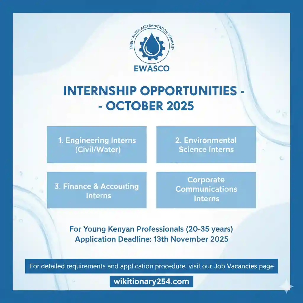 Embu Water and Sanitation Company Internship