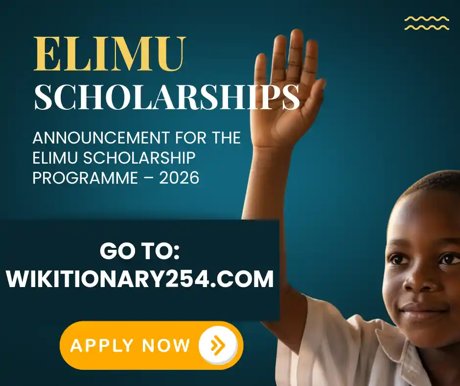 how to apply for elimu scholarships 2026